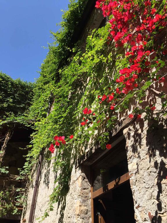 Domus Laeta Villa Giungano Dış mekan fotoğraf